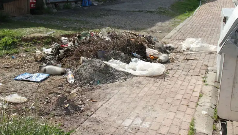 Antalya'da Korkunç Vahşet: Onlarca Kedi Toplu Ölü Bulundu!