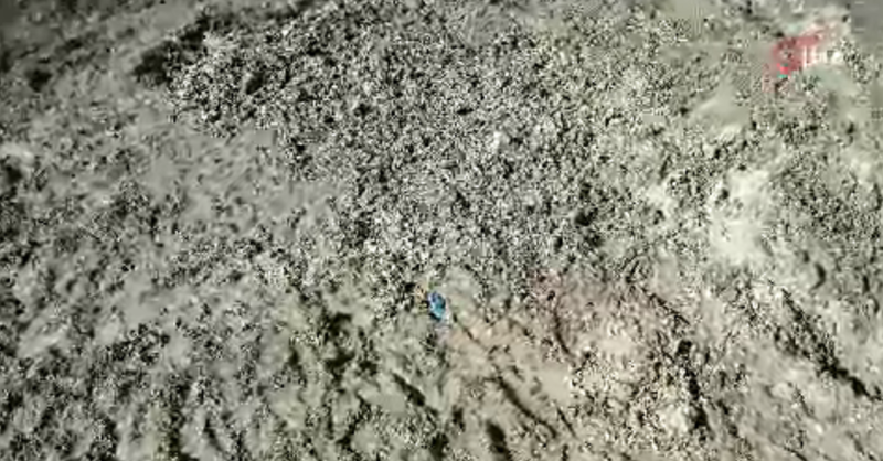 İstanbul'da Kayıp Çinli İş İnsanı Korkunç Cinayetle Toprağa Gömüldü