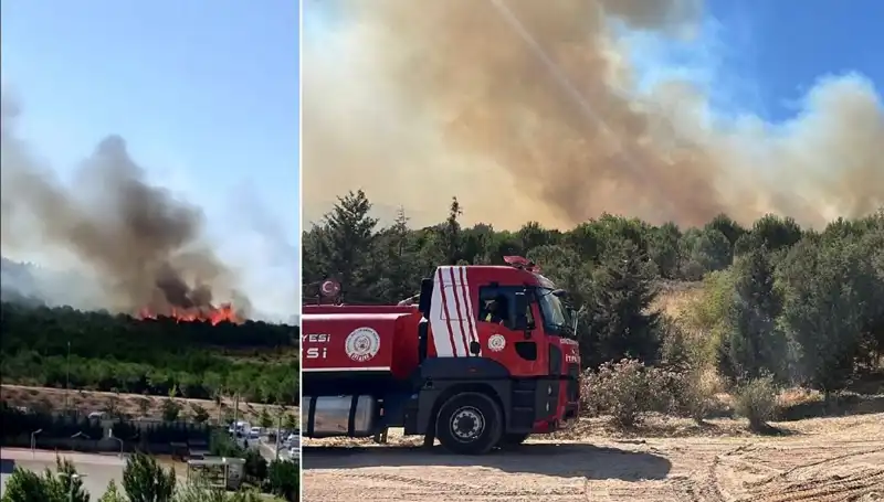 Gebze’de Korkutan Orman Yangını: Ekipler Müdahale İçin Seferber Oldu