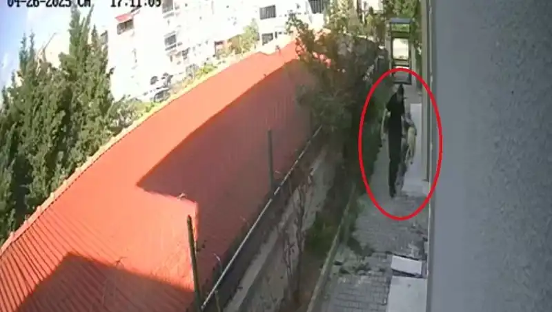 : Veteriner Doktorun Şok Edici Suçu: Sahiplendiği Köpekleri Evde Parçaladı