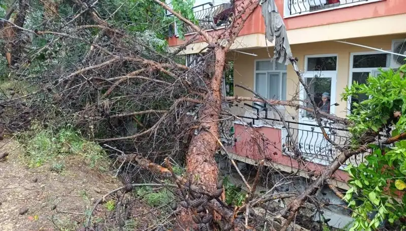 Şiddetli Yağmur Sonucu Bina Çöktü! Sorumlular Hesap Verecek mi?