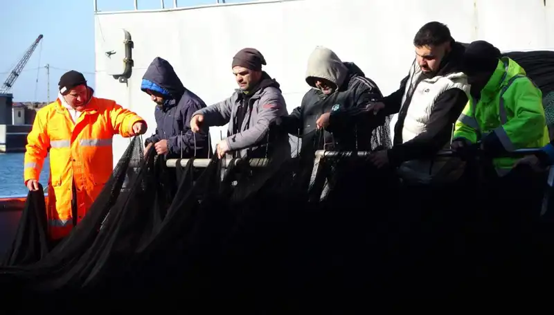 Denizlerde Hamsi Avı Alarm Veriyor: Tekneler Neden Erken Paydos Etti?