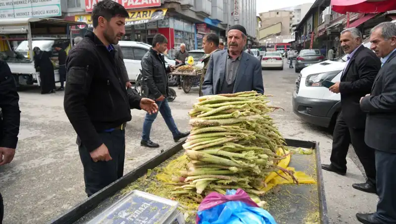 Dağlardan Gelen Şeker: Kanser ve Midedeki Etkileri Hakkında Bilmeniz Gerekenler