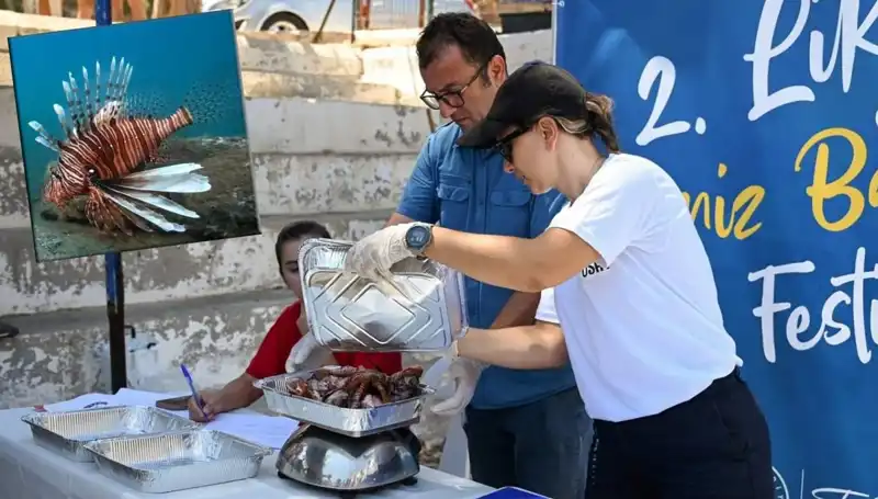 Antalya'da Dalış Tutkunları İçin İstilacı Aslan Balığı Avlama Yarışması