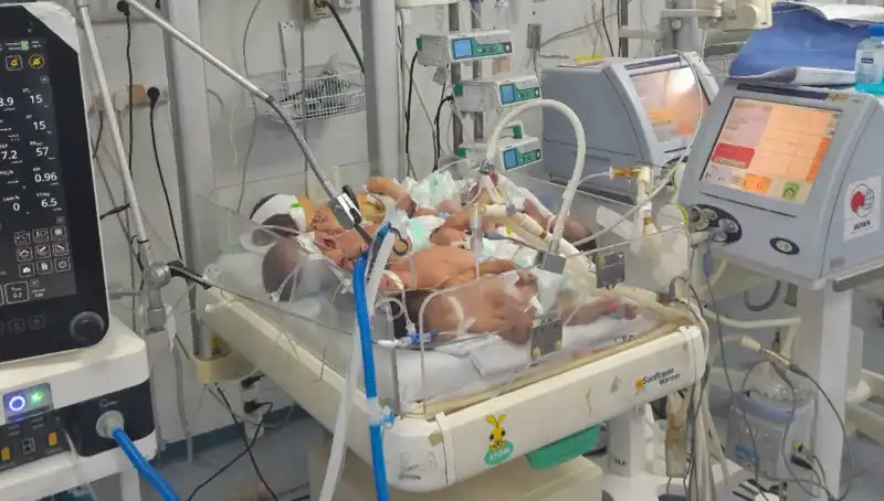 Gazzeli Doktorlar Çağrı Yapıyor: Kuvözlerde Birden Fazla Bebek Tehlikesi