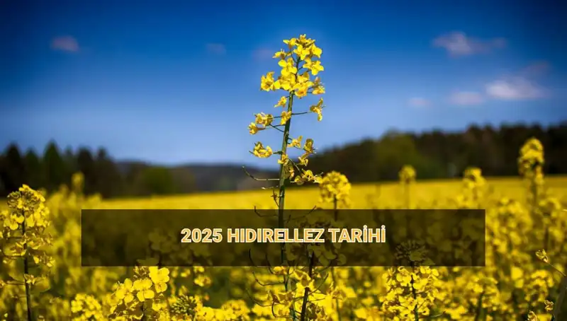 Hıdırellez Ritüelleri: 2025'te Hıdırellez Ne Zaman Kutlanacak?