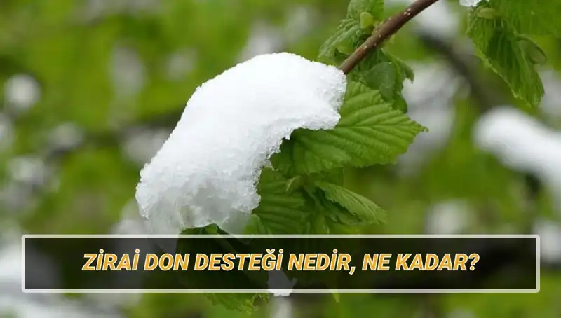 Zirai Don Desteği 2023: Kimler Yararlanacak, Hangi İllerde Uygulama Var?