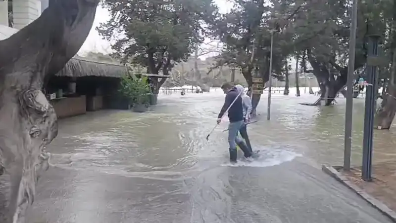 Manavgat Irmağı'nda Felaket: İşletmeler Su Altında Kaldı!