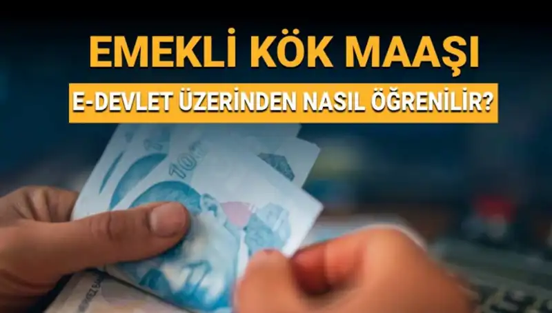 Kök Maaşınızı Öğrenmek İçin Bilmeniz Gereken Her Şey