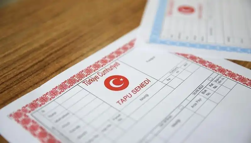 100 Milyonluk Çark deşifre oldu: Hisseli Tapu Yalanıyla Büyük Tuzak