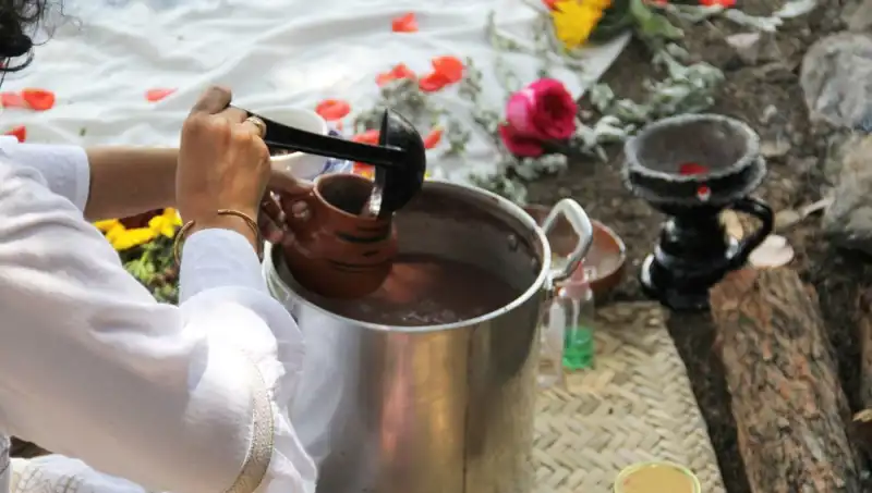 Ayahuasca: Şimdiye Kadar Bilmediğiniz Ruhsal Yolculuk ve Yasal Durumu