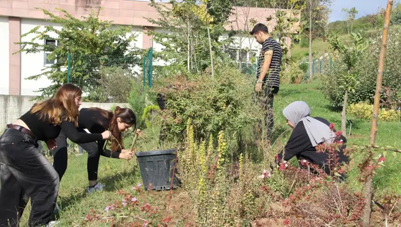 Düzce'nin Yıldızı: Hayallerin Gerçek Olduğu Global Başarı Hikayesi