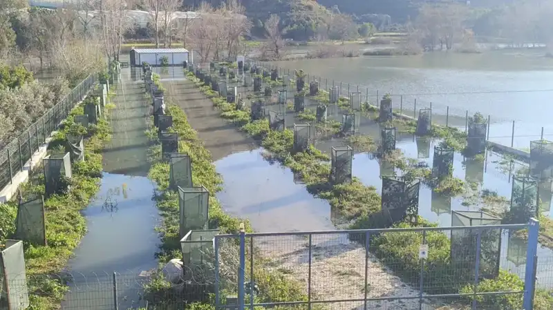 Irmak Taşması Nedeniyle Otoyol Şantiyesi Sular Altında Kaldı