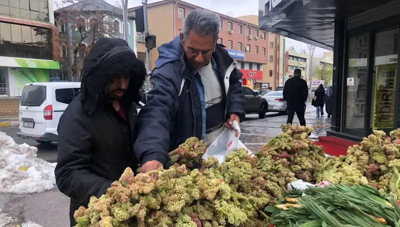 Kanserle Savaşta Doğanın Şifalı Hediyesi: Kendiliğinden Yetişen Süper Gıda