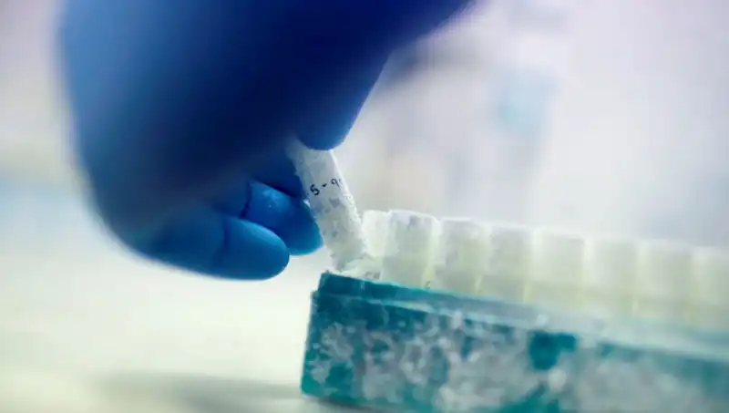 Tıbbi Felaket: 85 Sperm Donörüyle Binlerce Çocuğun Baba Olması
