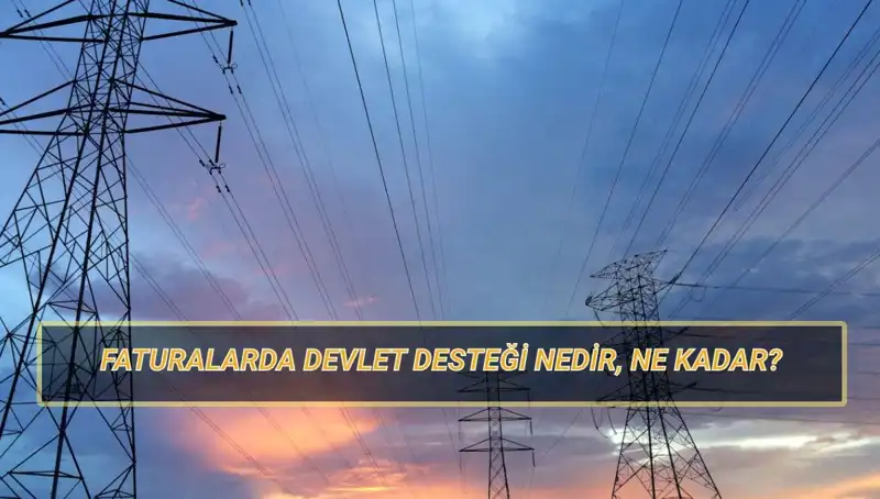 2025'te Fatura Devlet Desteği: Kimler Yararlanabilir, Ne Kadar Alacak?