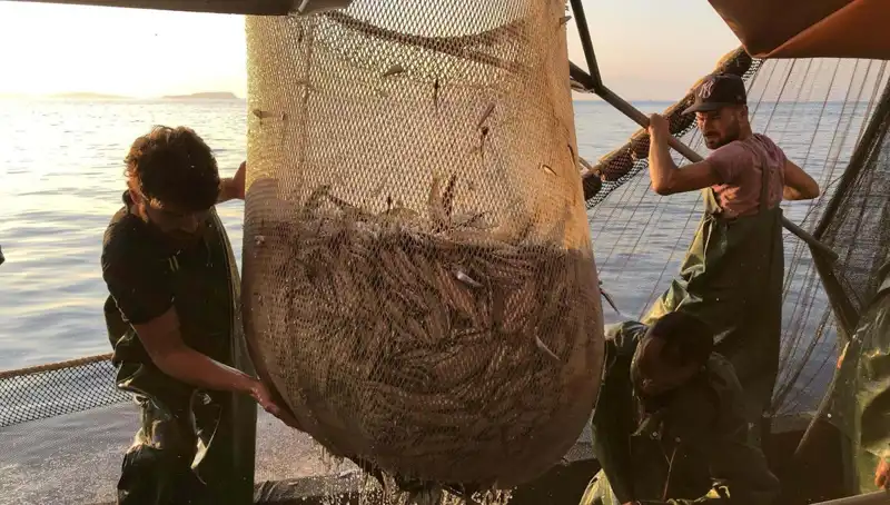 Balıkçılar İş Bırakma Eylemi Başlattı: Cezalara Karşı Ortak Tepki