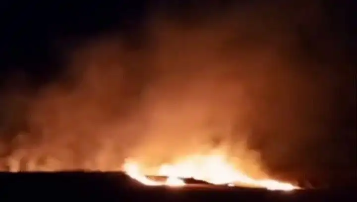 Tekirdağ'da 20 Dekar Buğday Tarlasını Kül Eden Alevler Yükseldi