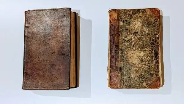 200 Yıllık Gizem: Katilin Derisiyle Yapılan Kitap Müze Rafında!